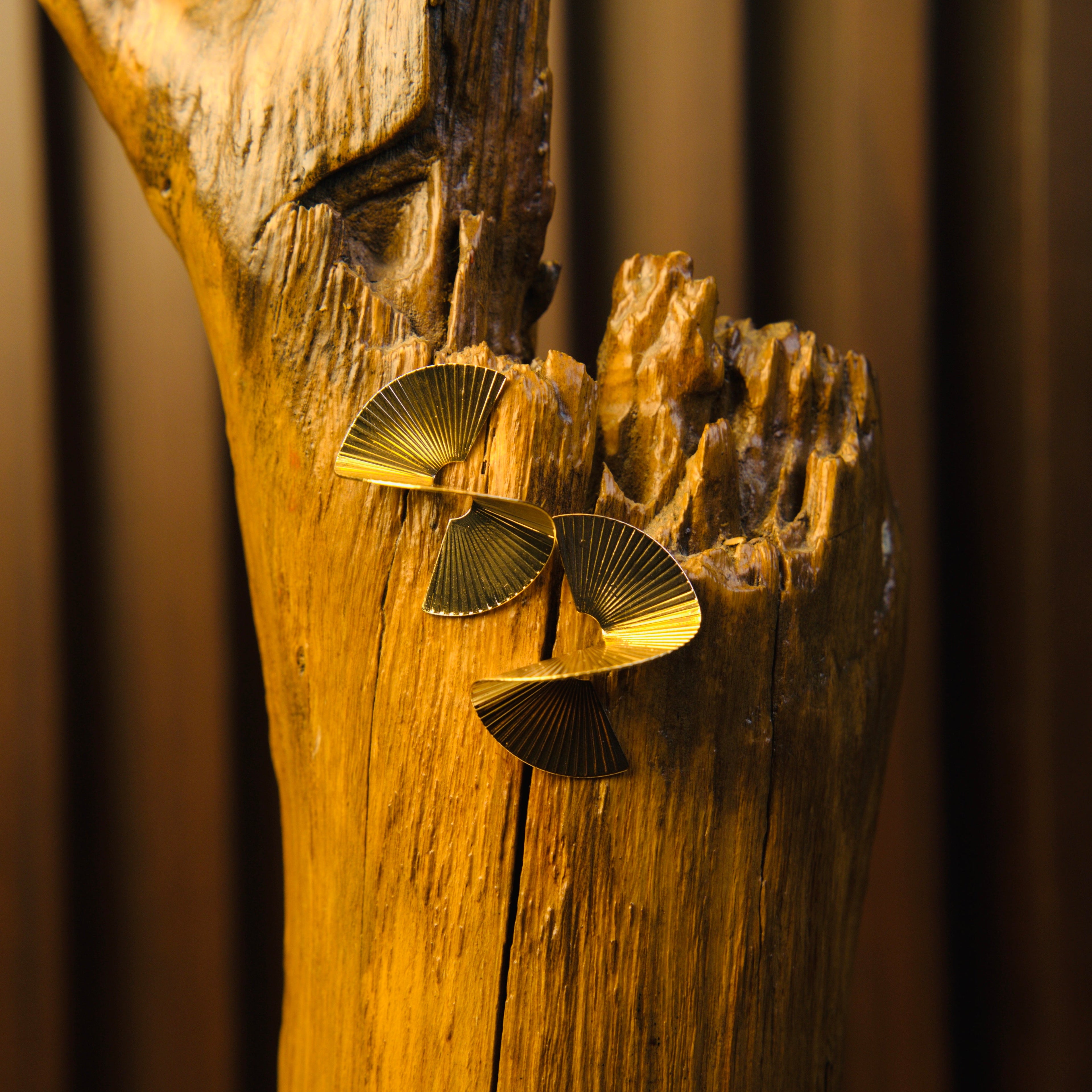 Spiraluxe Hoops Earrings