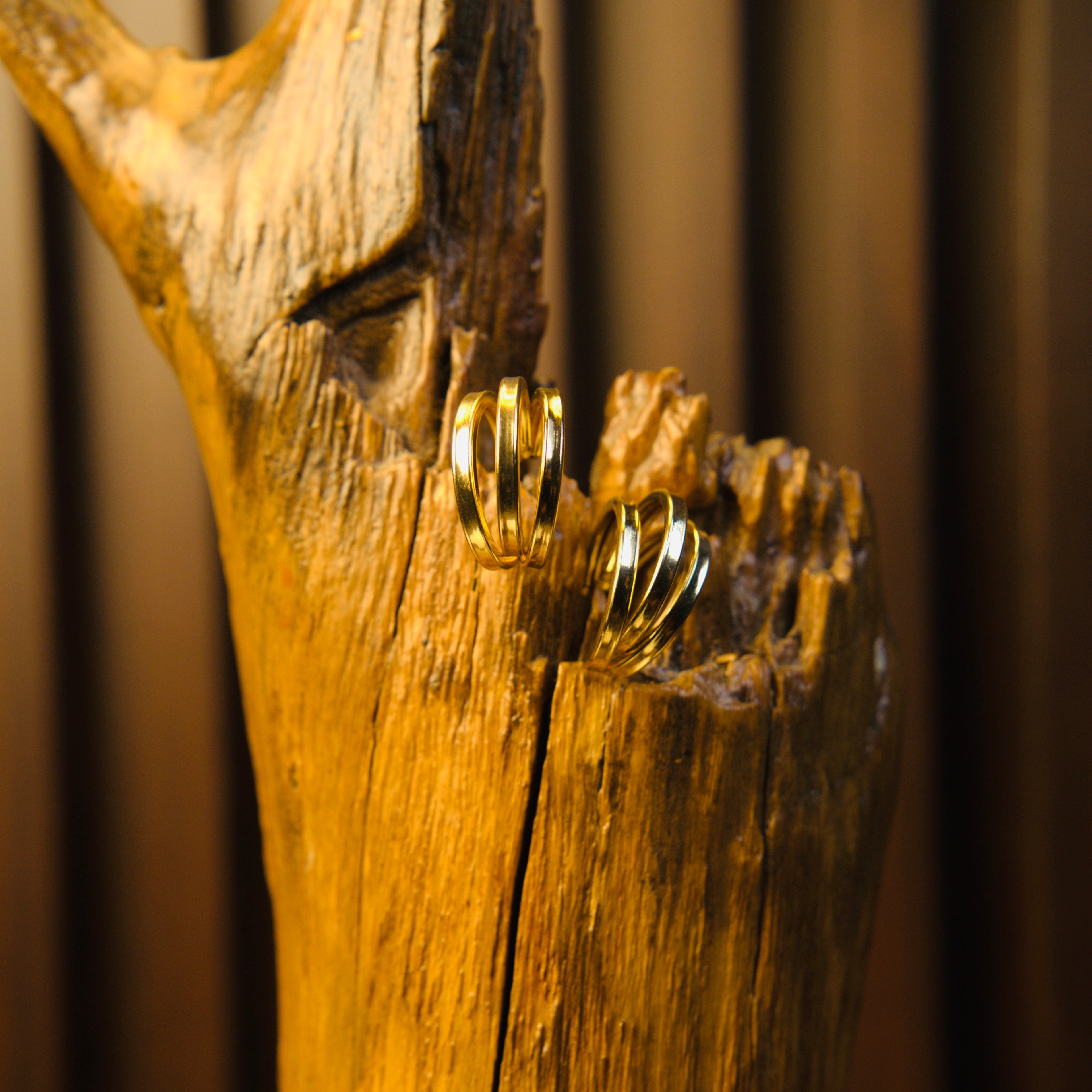 GildCircle Hoops Earrings