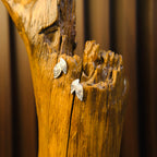 StoneLeaf Drops Earrings