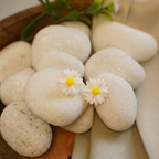 Sunny Daisy Studs Earrings