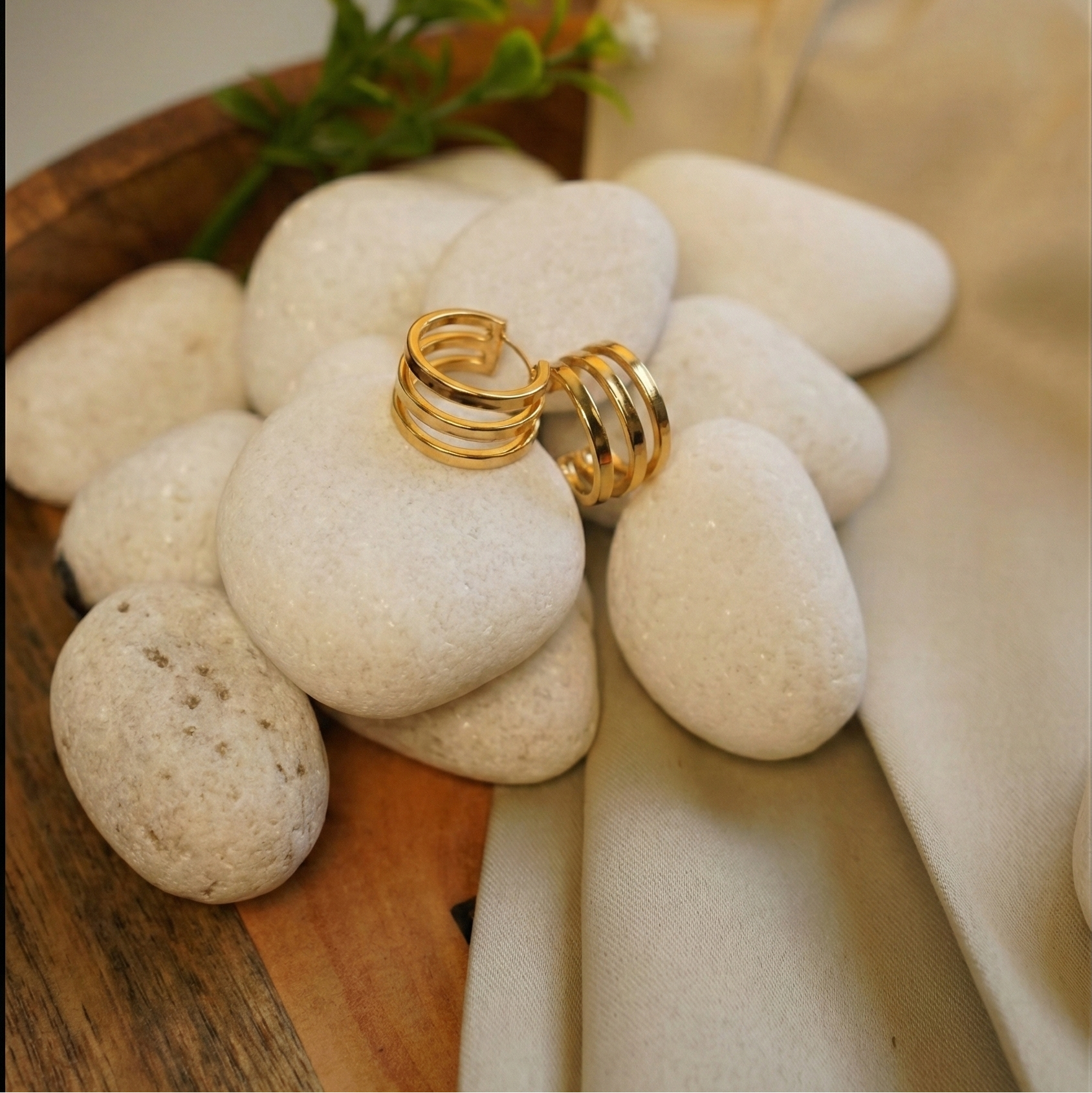 GildCircle Hoops Earrings